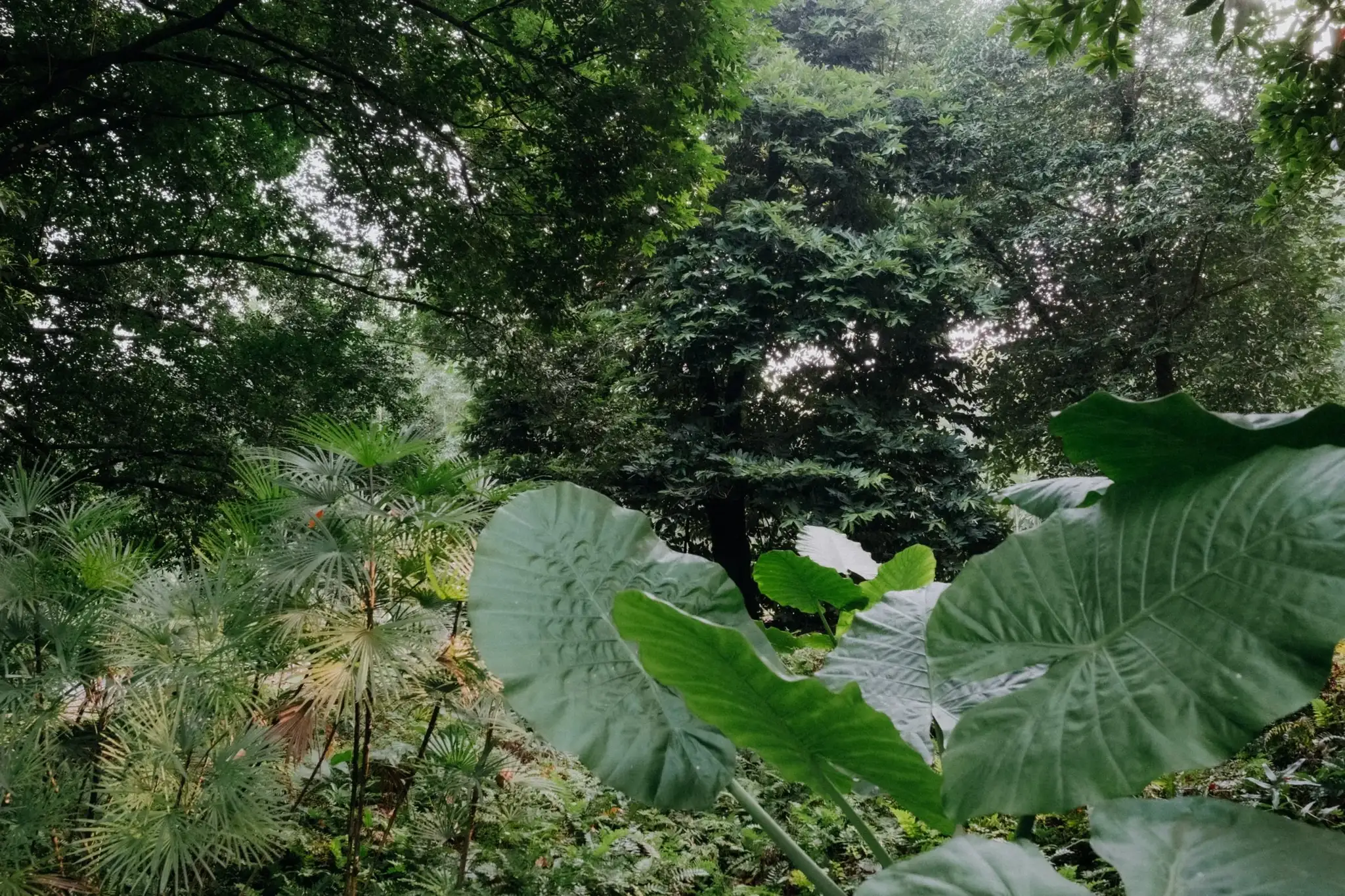 E & D wedding photo 36