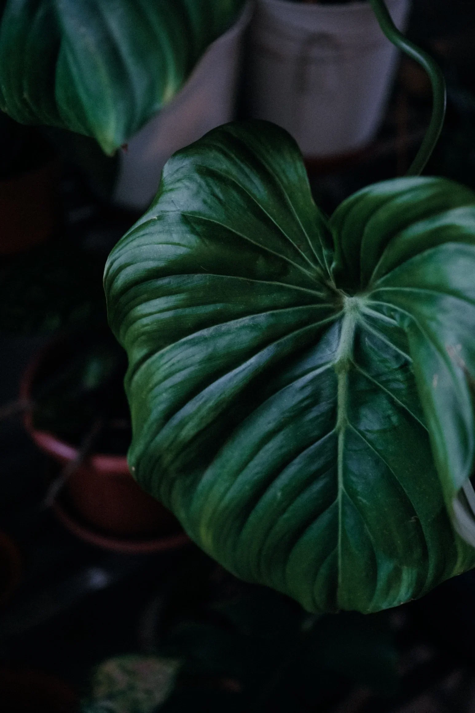 E & D wedding photo 2