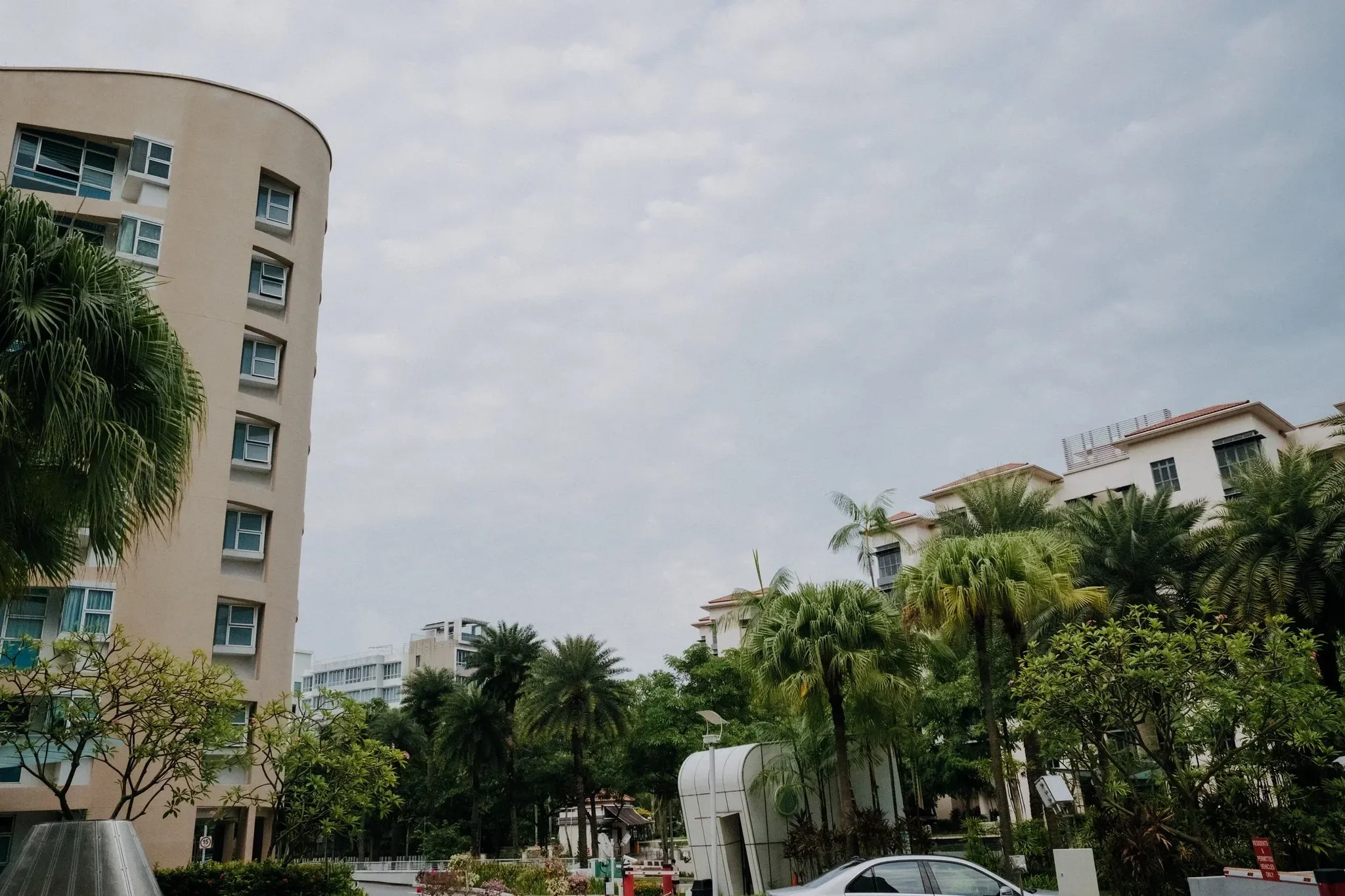 C & W wedding photo 1