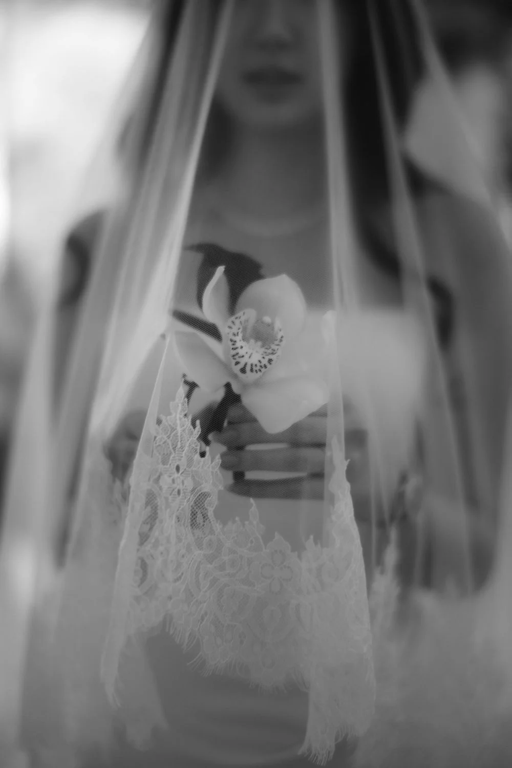 A & L wedding photo 20