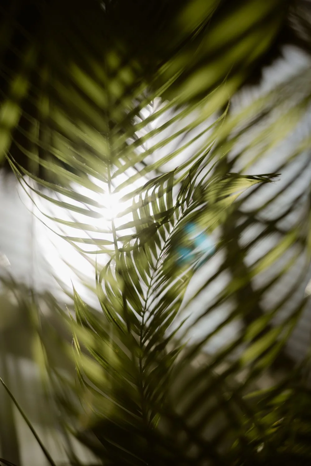 A & L wedding photo 1