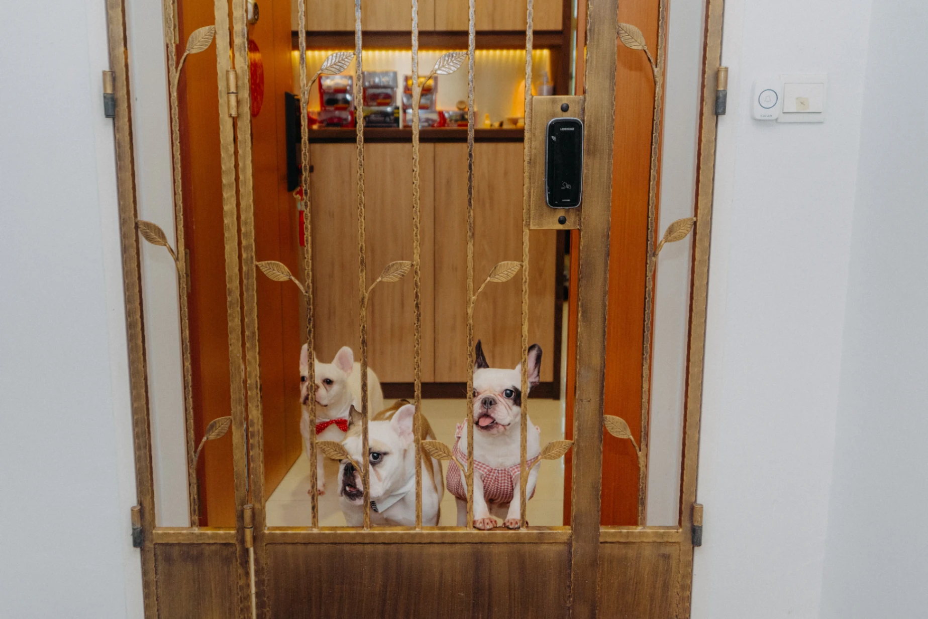 YS & E wedding photo 24