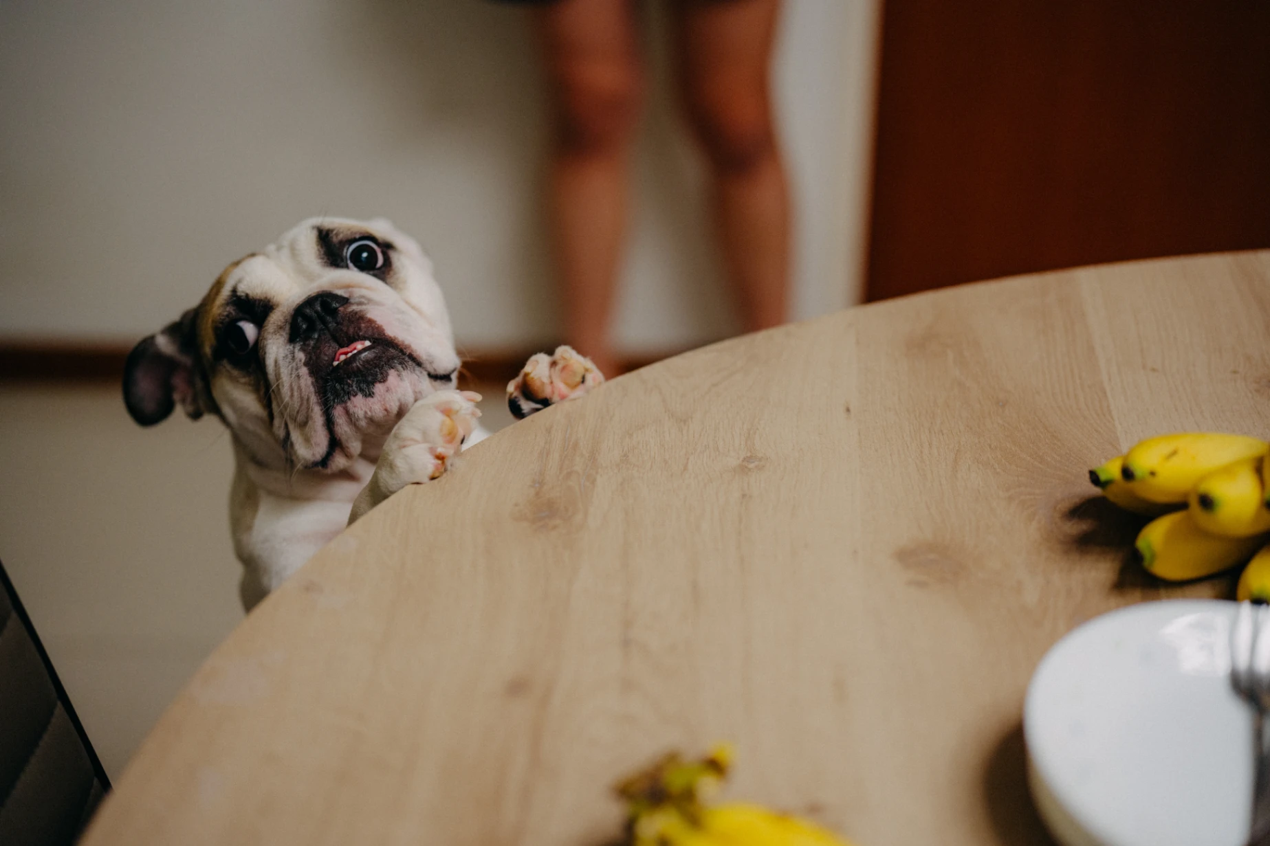 YS & E wedding photo 5