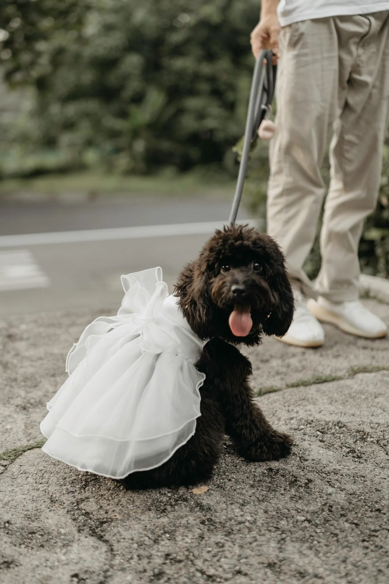 K & J wedding photo 6