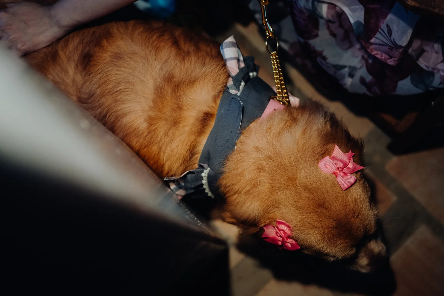 CW & J wedding photo 28