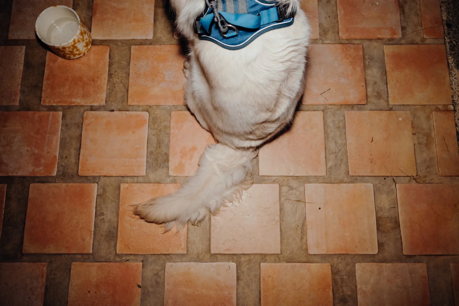 CW & J wedding photo 31