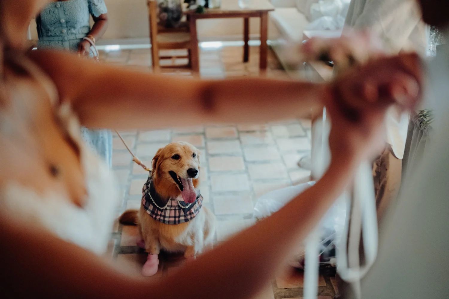 CW & J wedding photo 6