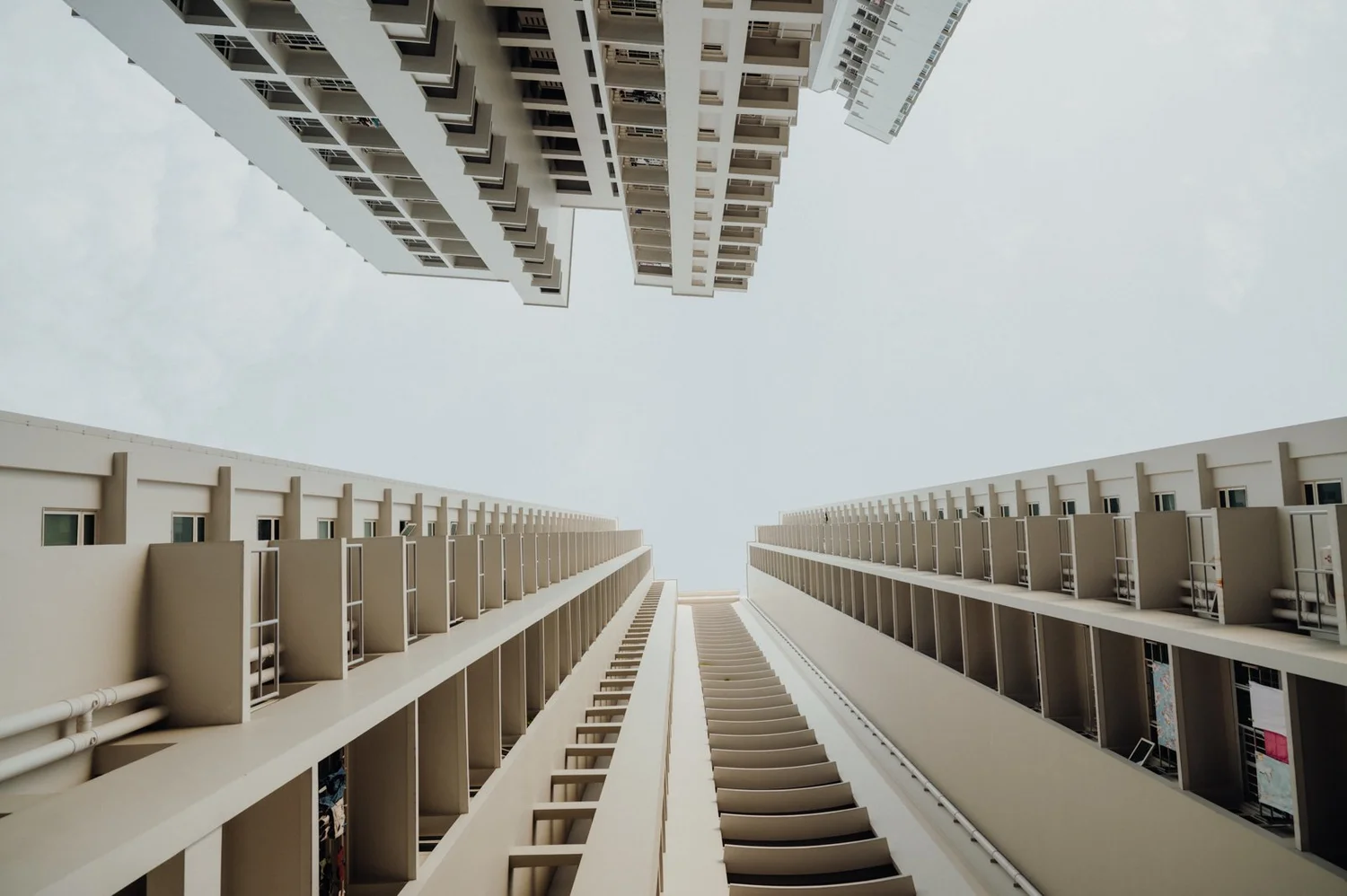 C + M wedding photo 1