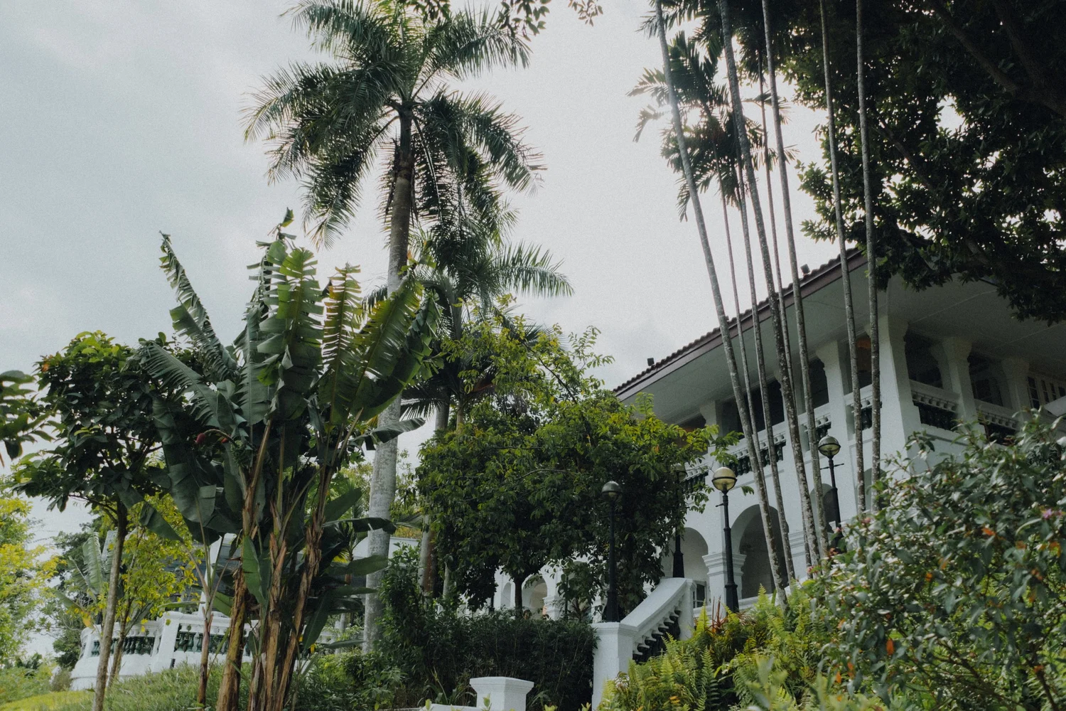 M + J wedding photo 40