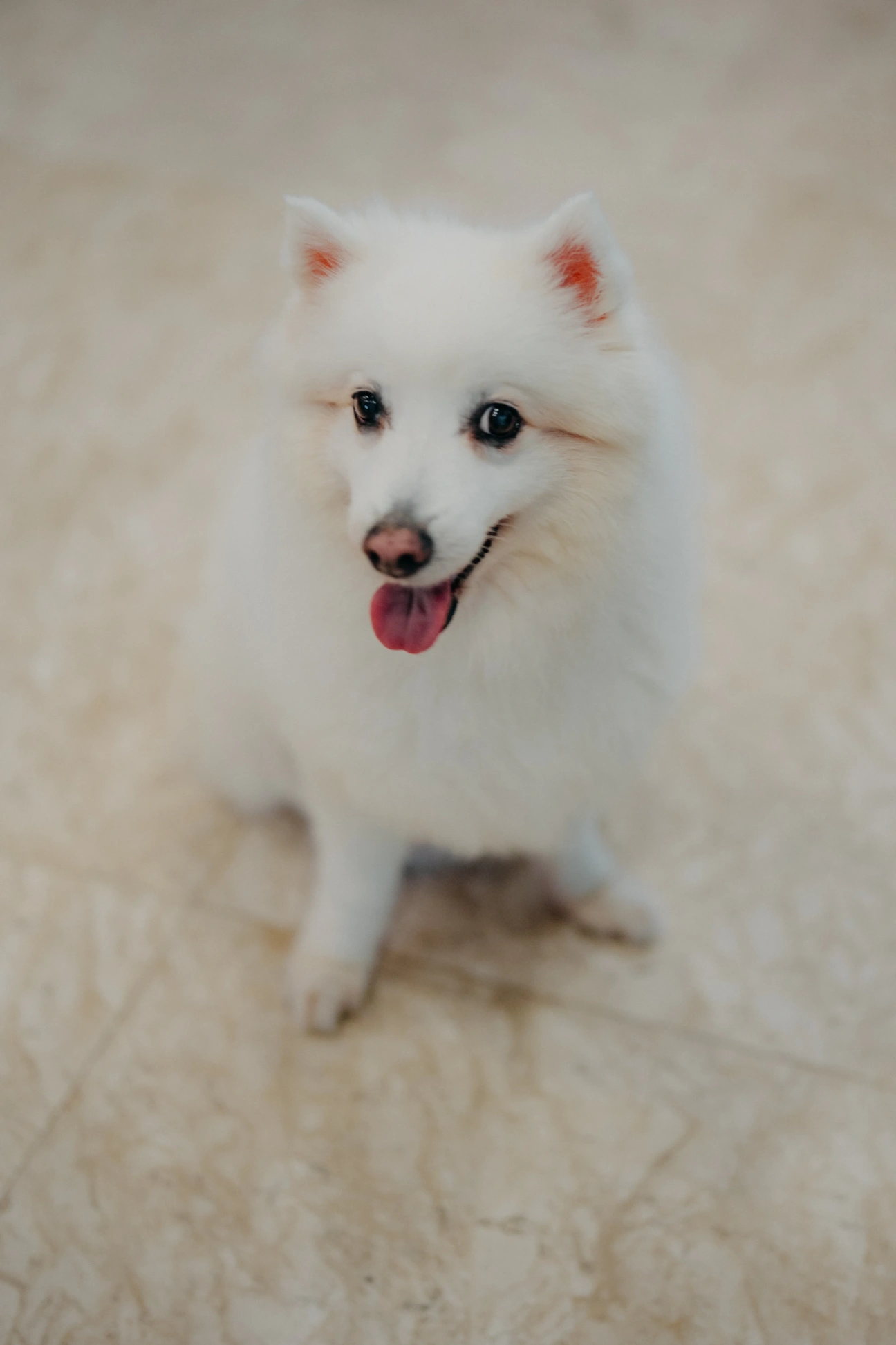 E & R wedding photo 157