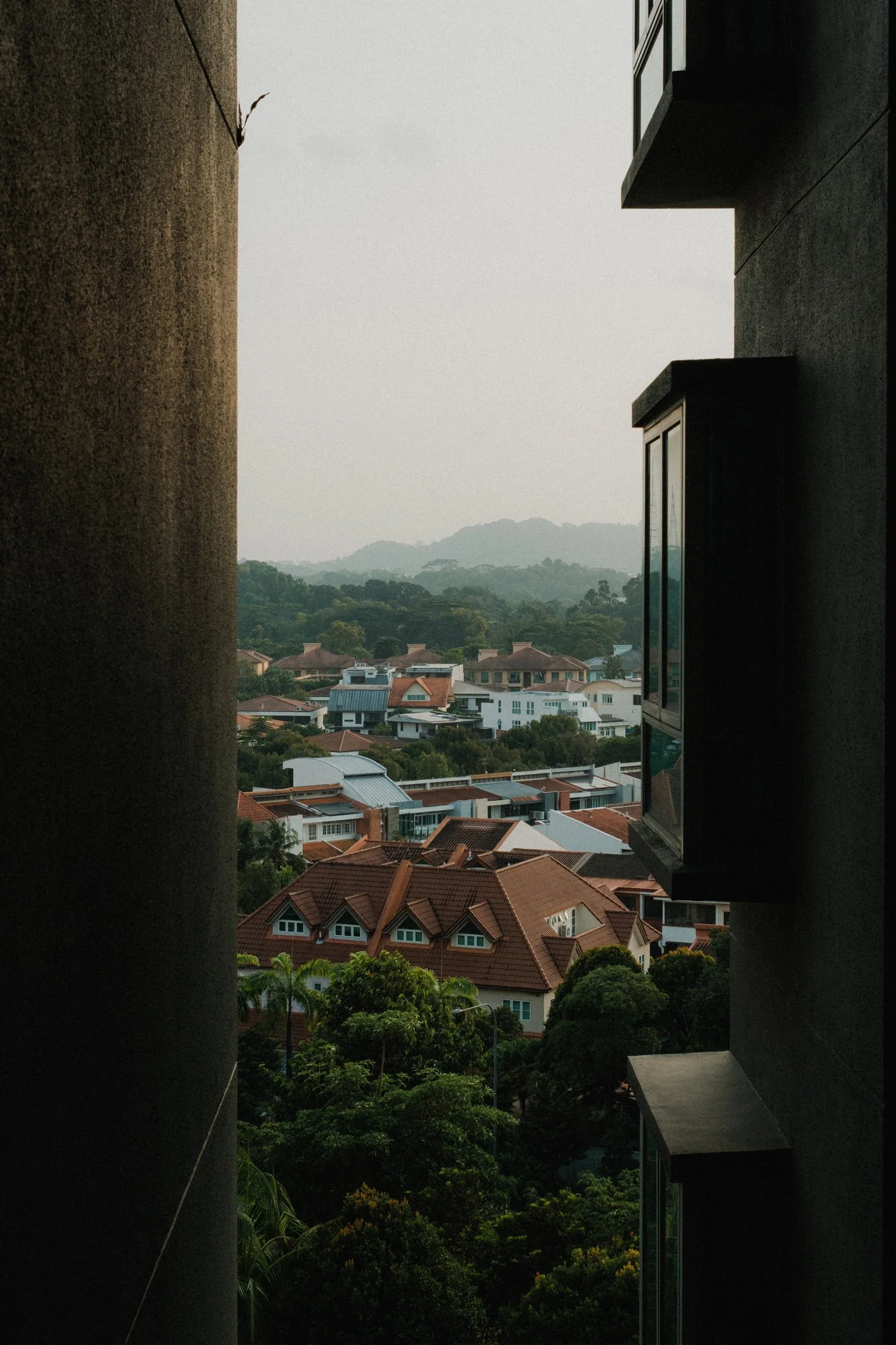 A + D wedding photo 11