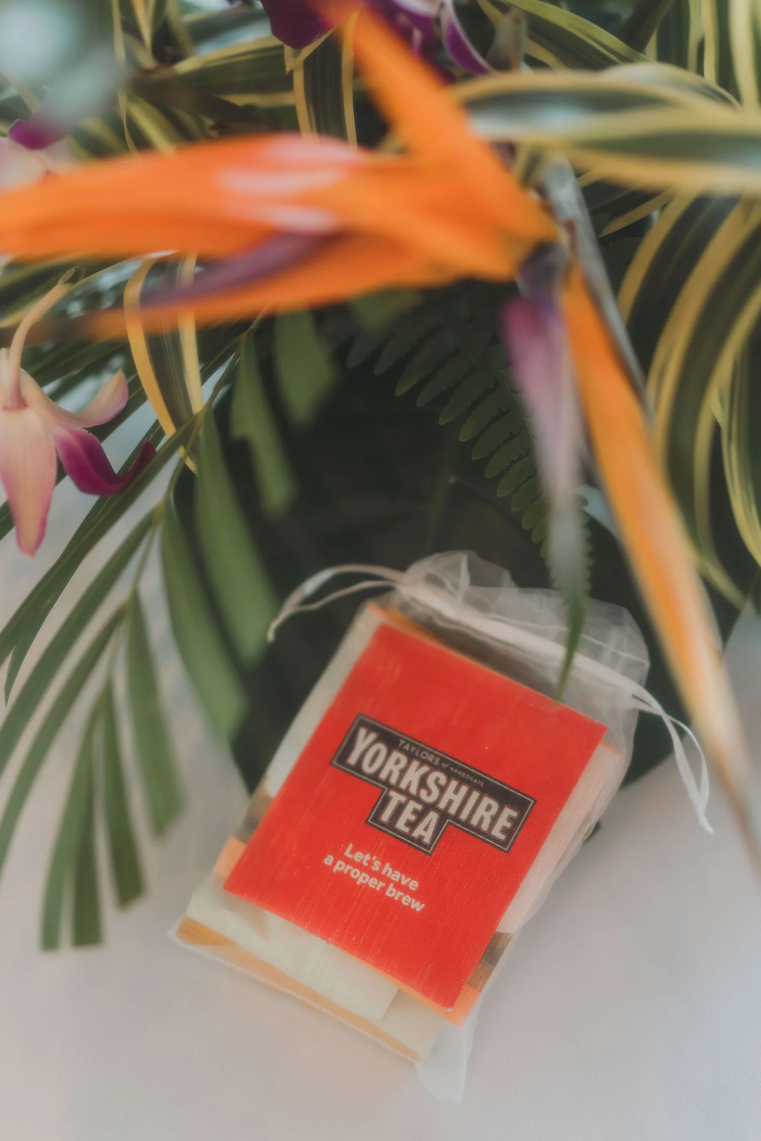 M & J wedding photo 5