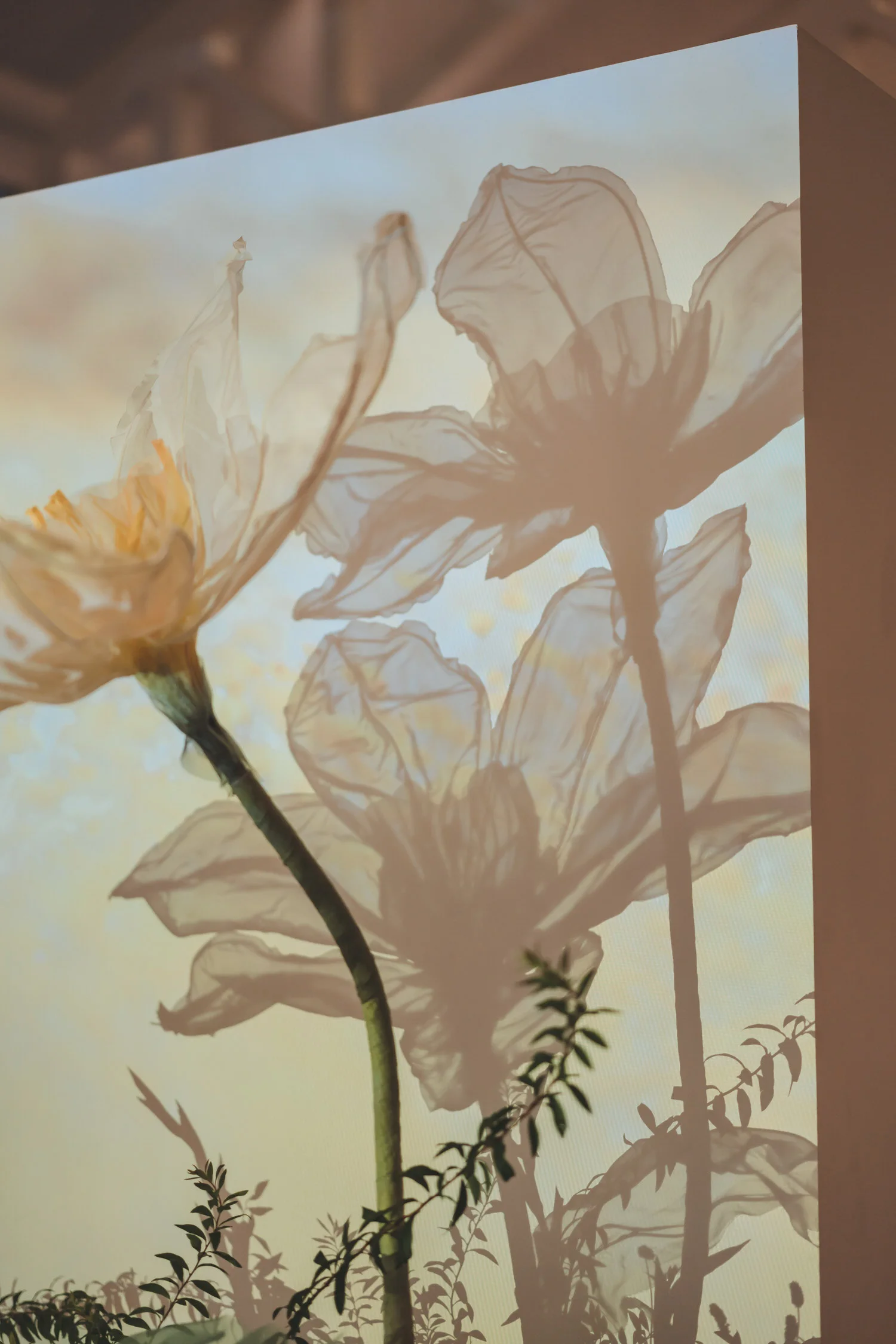 Y & S wedding photo 2