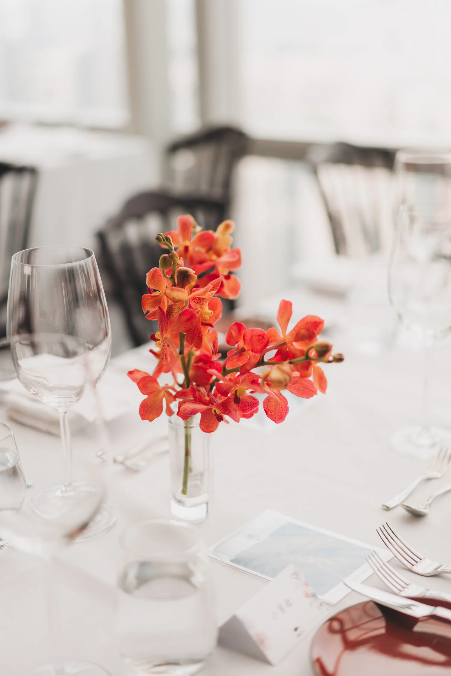 N & X wedding photo 38