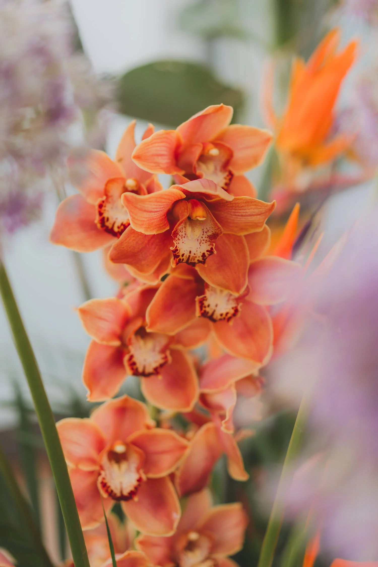 N & X wedding photo 47