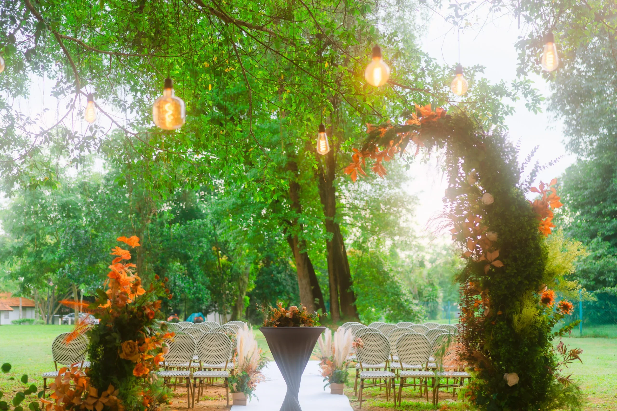 Cinder (Level 2) - Photo 5