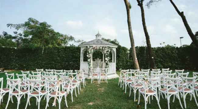 Cinder (Level 2) - Photo 6