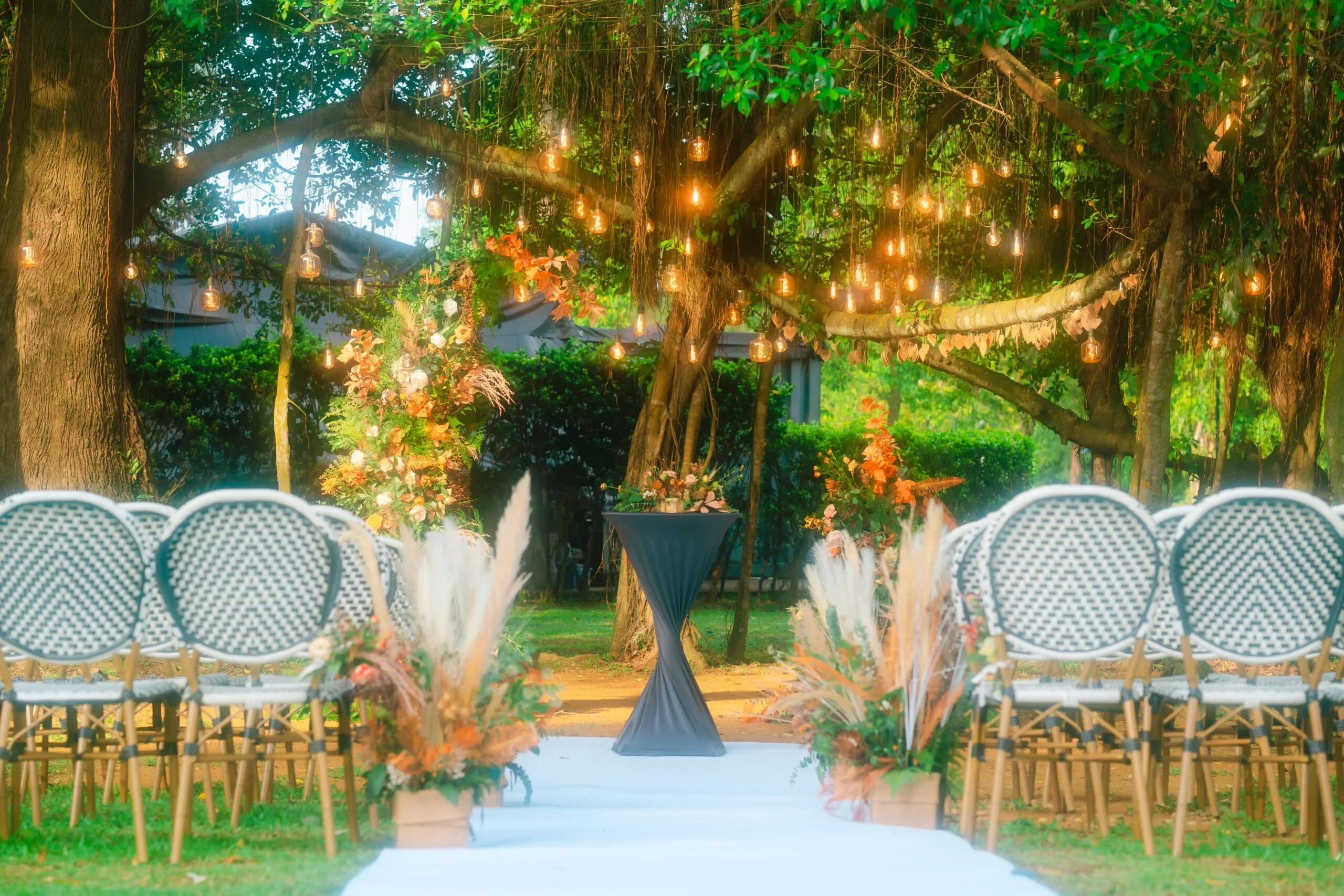 Cinder (Level 2) - Photo 4