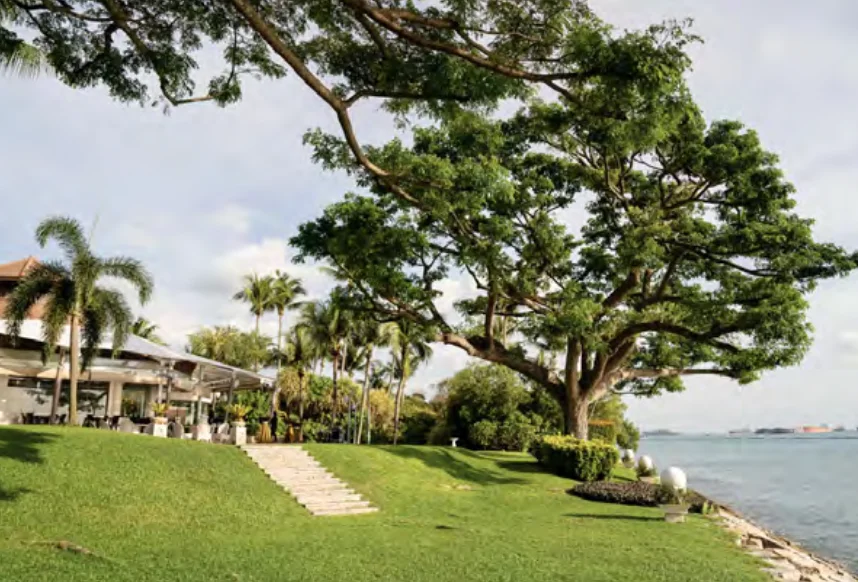 Barnacles by the Sea - Photo 2