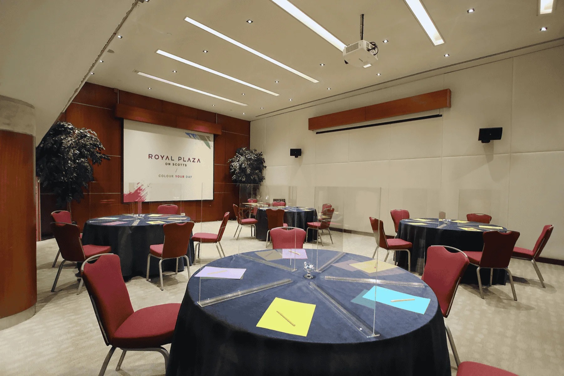 Ardmore Suite - Photo 1