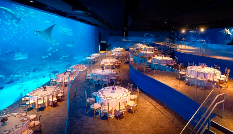 Ocean Gallery - Photo 3