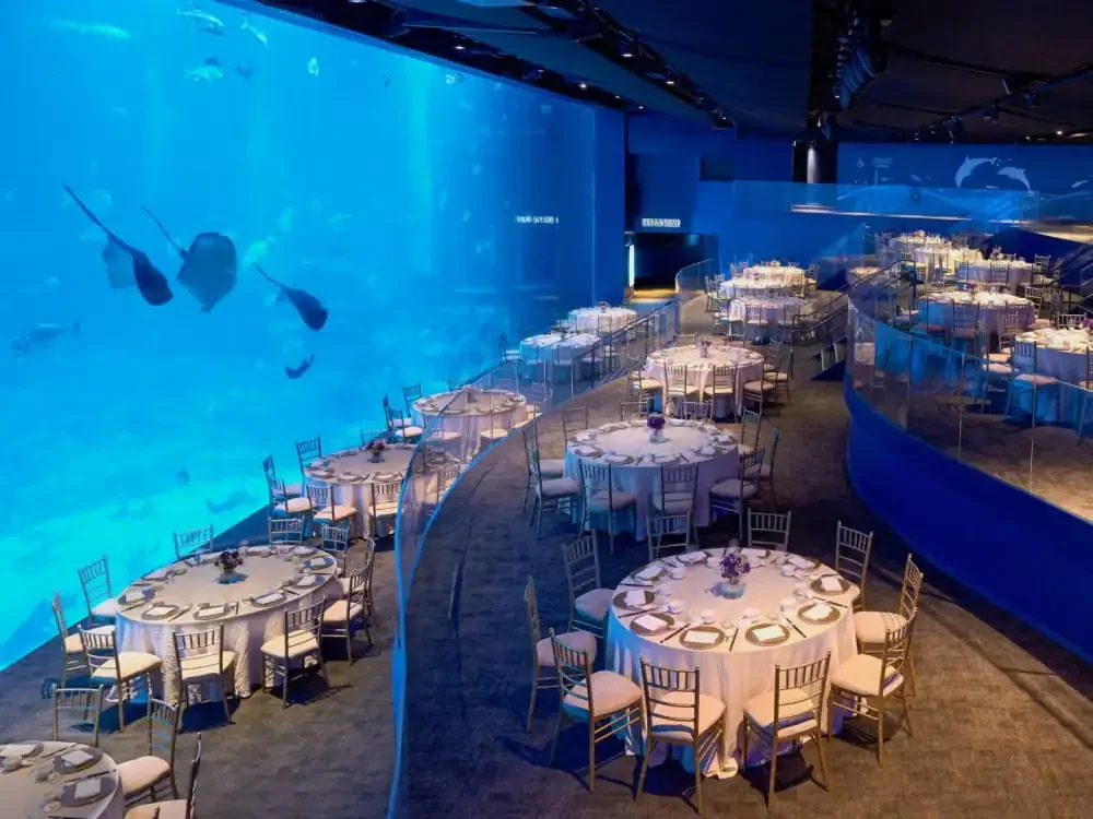 Ocean Gallery - Photo 1