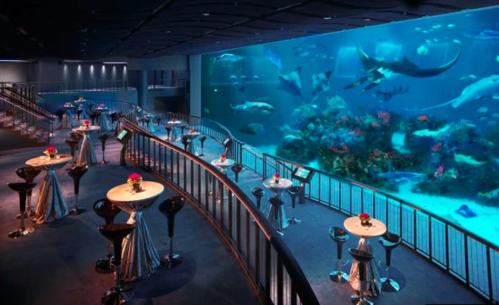 Ocean Gallery - Photo 2