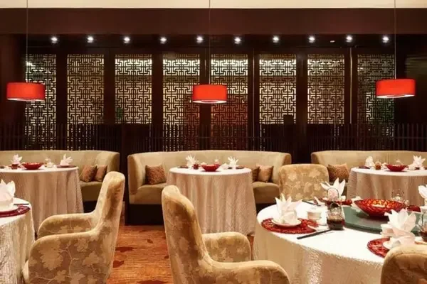 Xin Cuisine Chinese Restaurant - Photo 1