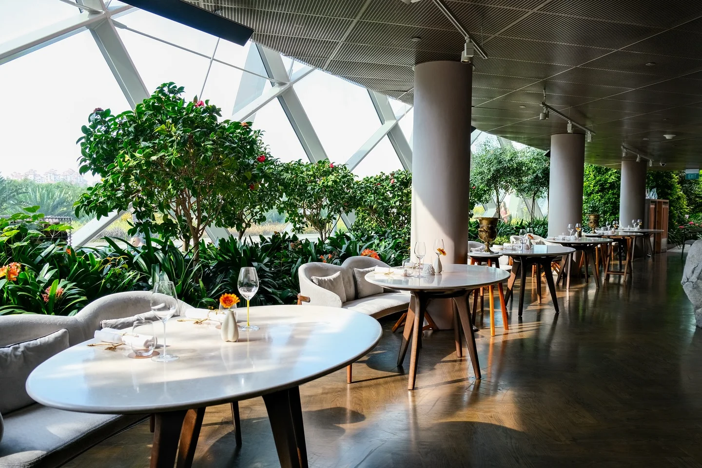 Marguerite - Photo 2